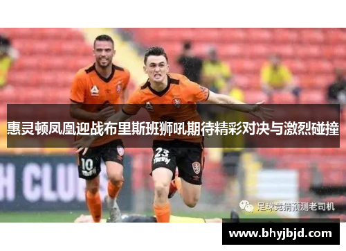 惠灵顿凤凰迎战布里斯班狮吼期待精彩对决与激烈碰撞